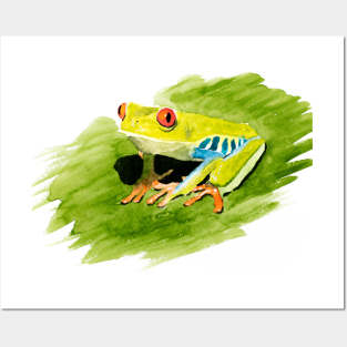 Red Eyed Tree Frog Watercolour Painting Posters and Art